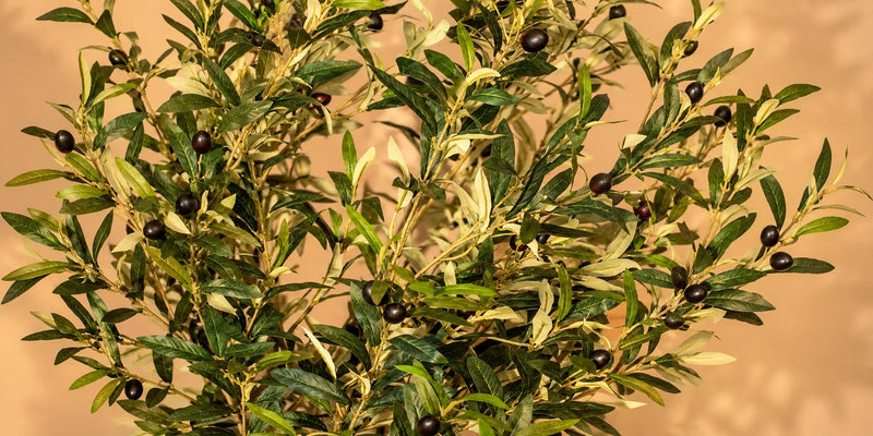 Gros plan sur le feuillage bicolore et les olives d'un arbre artificiel réaliste