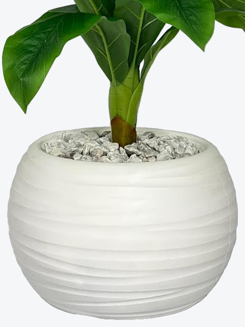 Plante Tropicale