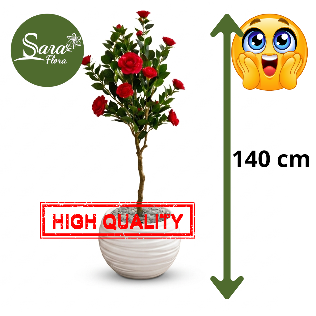 Image supplémentaire de pied de page 1