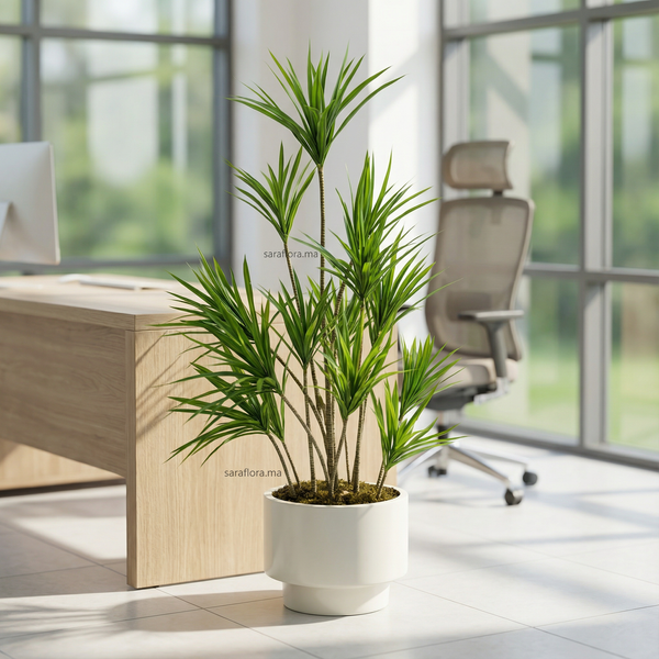 Premium Song of Jamaica | pot en polyester