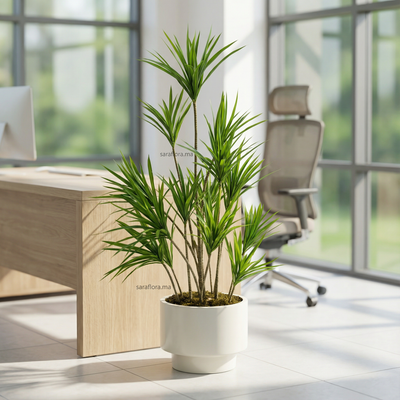 Premium Song of Jamaica | pot en polyester