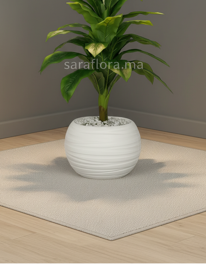 Image supplémentaire de pied de page 2