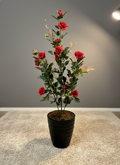 plante artificielle de roses rouges