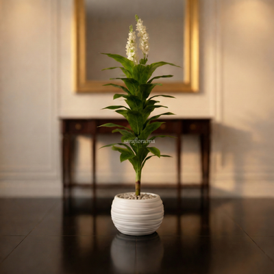 Plante artificielle Dracaena à fleurs blanches