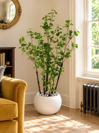 Plante Artificielle Arbuste Feuilles Rondes 132cm