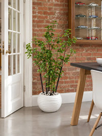 Plante Artificielle Arbuste Feuilles Rondes 132cm