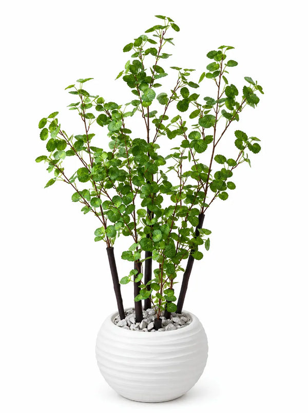 Plante Artificielle Arbuste Feuilles Rondes 132cm