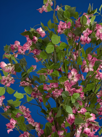 Bougainvillier Artificiel Rose 140 cm
