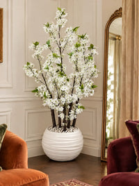 Cerisier du Japon Blanc Lux 130cm