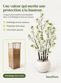 Cerisier du Japon Blanc Lux 130cm