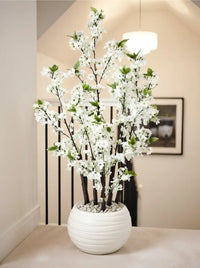 Cerisier du Japon Blanc Lux 130cm