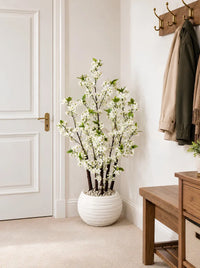 Cerisier du Japon Blanc Lux 130cm