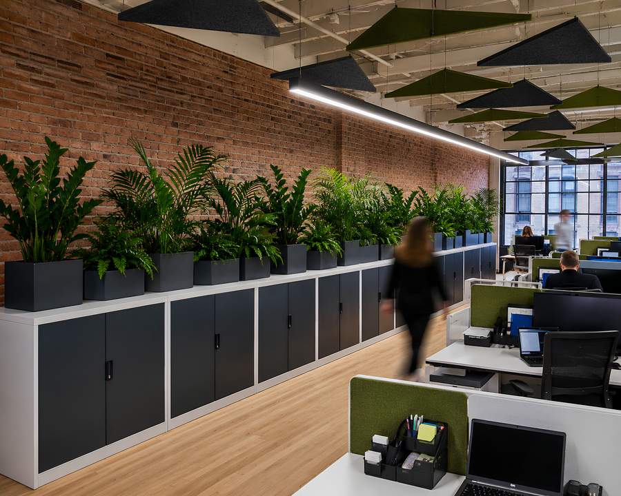 Aménagement végétal d’un bureau contemporain