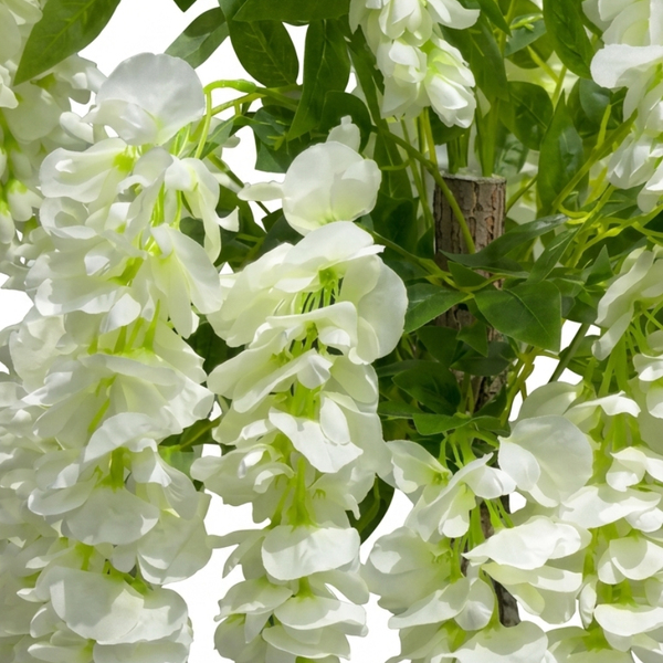 Glycine pleureure artificielle