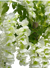Glycine pleureure artificielle