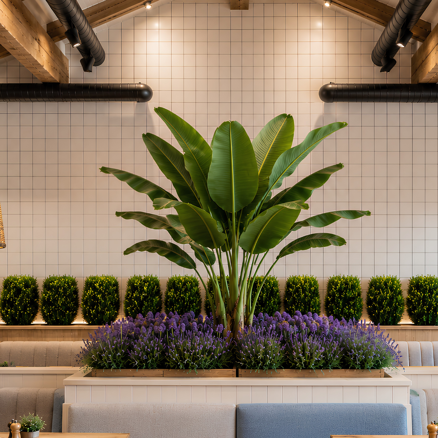 Aménagement Décoratif Végétal – Restaurant Style Farmhouse Méditerranéen
