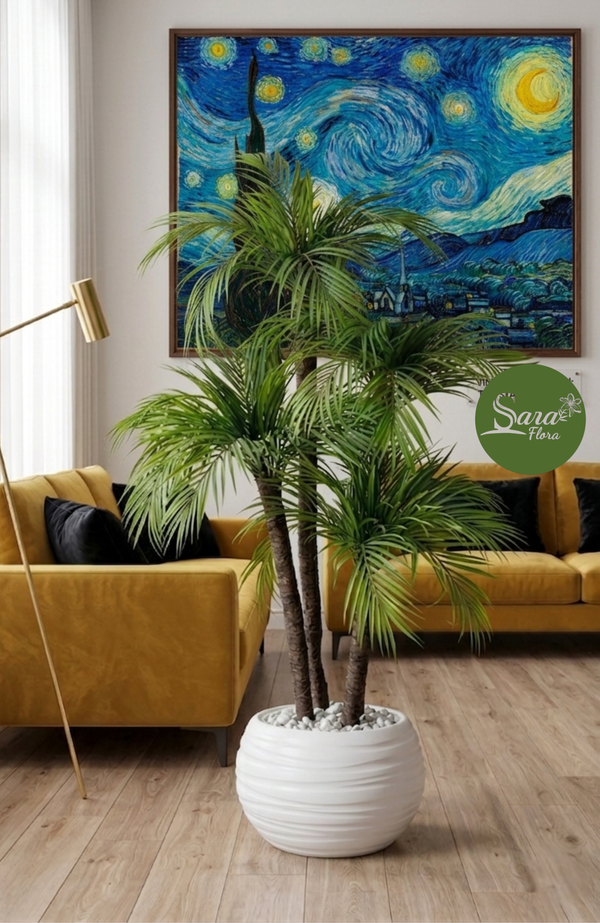 Palmier Areca