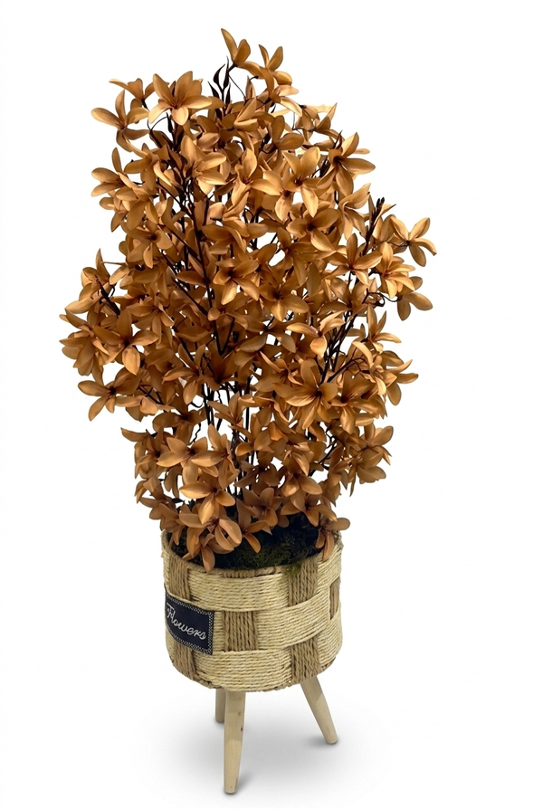 Forsythia