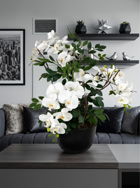 Orchidées Phalaenopsis Vase Porcelaine Noir|58 cm