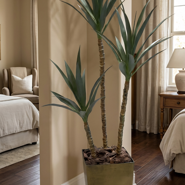 Yucca Artificielle
