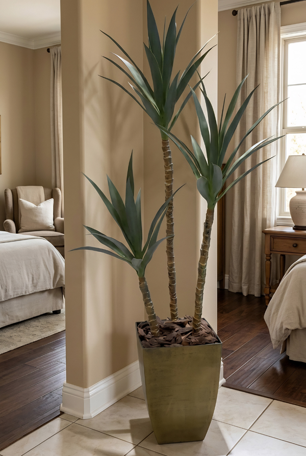 Yucca Artificielle