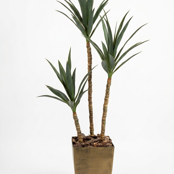Yucca Artificielle