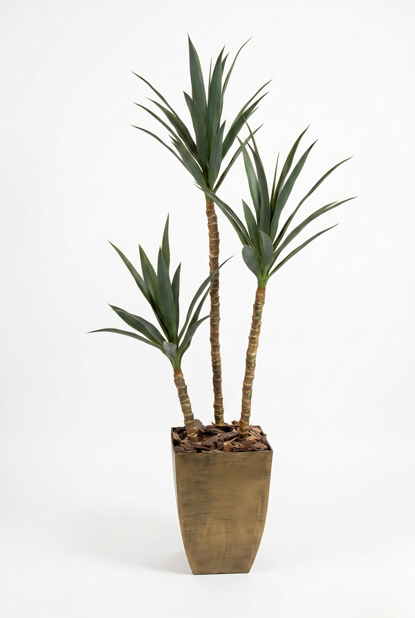 Yucca Artificielle