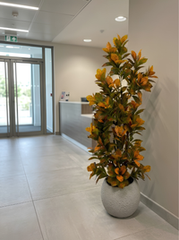 Automne Éternel – Arbuste Tons Rouille Pot Polypropylène Incassable 160 cm