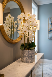 Orchidée Phalaenopsis artificielle
