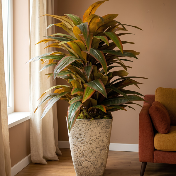 Tropical Cuivré | Pot Caoutchouc | 160 cm