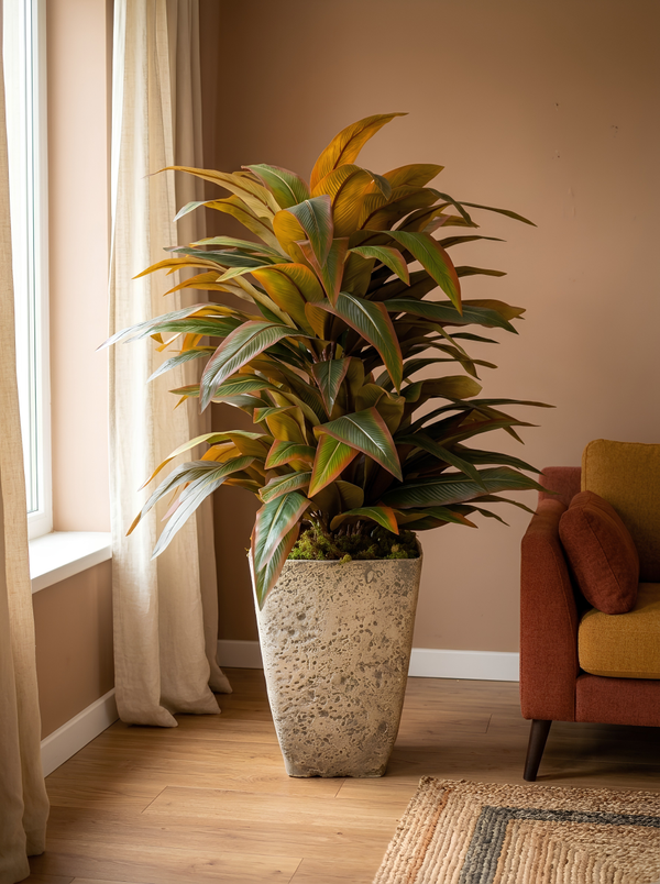 Tropical Cuivré | Pot Caoutchouc | 160 cm