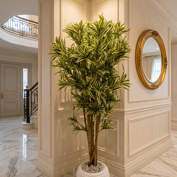 Dracaena Marginata Artificielle