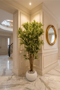 Dracaena Marginata Artificielle