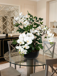 Orchidées Phalaenopsis Vase Porcelaine Noir|58 cm