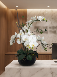 Élégance Zen – Orchidées Blanches Vase Porcelaine Noir 69 cm
