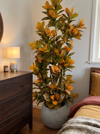 Automne Éternel – Arbuste Tons Rouille Pot Polypropylène Incassable 160 cm