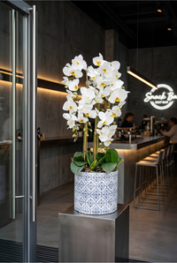Orchidée Phalaenopsis artificielle