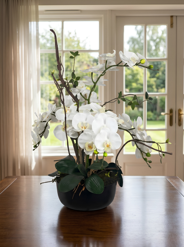Élégance Zen – Orchidées Blanches Vase Porcelaine Noir 69 cm