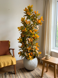 Automne Éternel – Arbuste Tons Rouille Pot Polypropylène Incassable 160 cm
