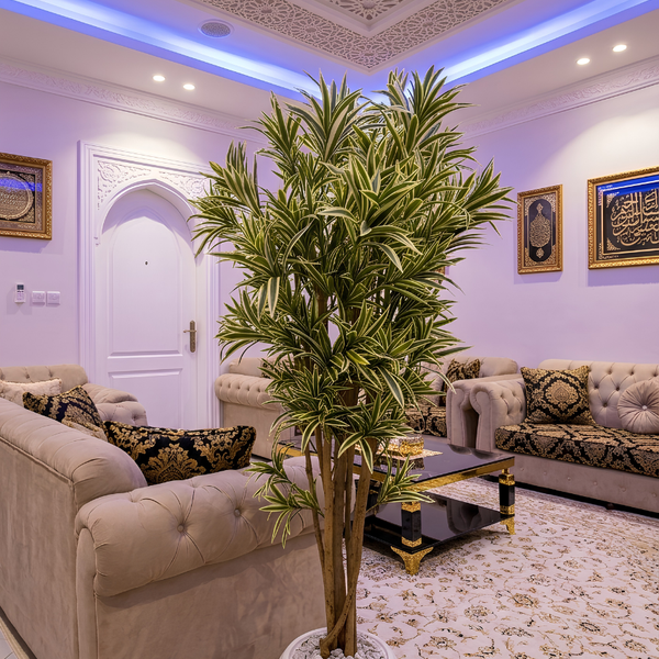 Dracaena Marginata Artificielle