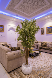 Dracaena Marginata Artificielle