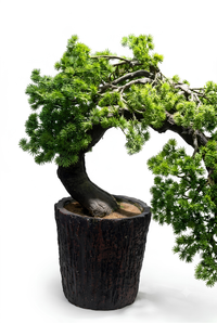 Bonsaï Conifère Artificiel Cascade