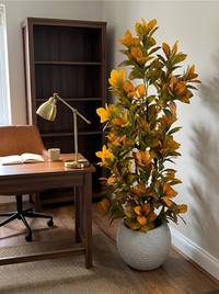 Automne Éternel – Arbuste Tons Rouille Pot Polypropylène Incassable 160 cm
