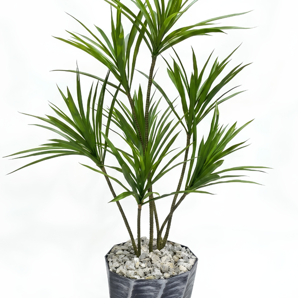 Dragonnier Artificiel Pot Design