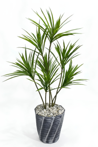 Dragonnier Artificiel Pot Design