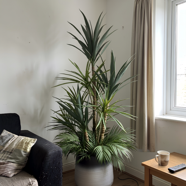 Élégance Tropicale Yucca et Palmier Pot Mélamine Dégradé 160 cm