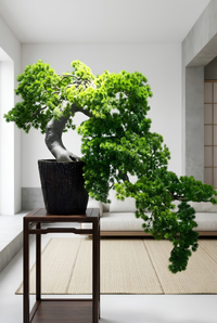 Bonsaï Conifère Artificiel Cascade