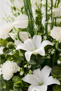 Splendeur Blanche