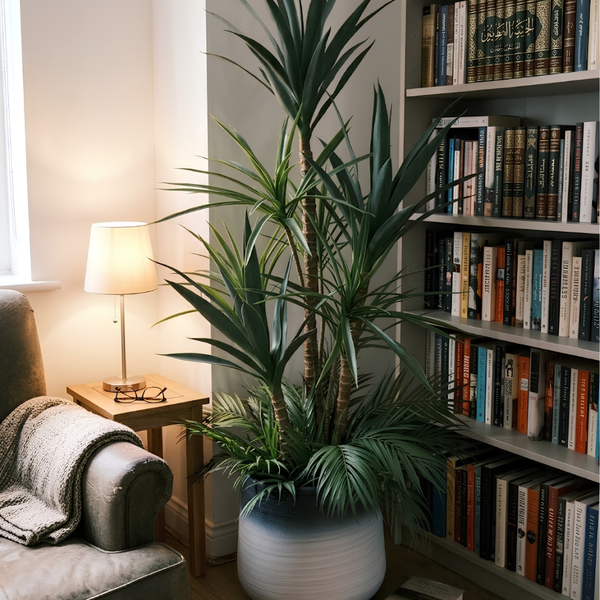 Élégance Tropicale Yucca et Palmier Pot Mélamine Dégradé 160 cm