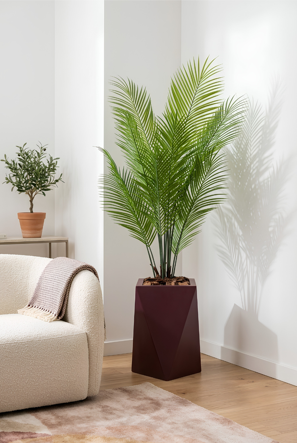 Areca Royale avec pot en polyester